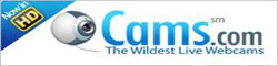 Cams image